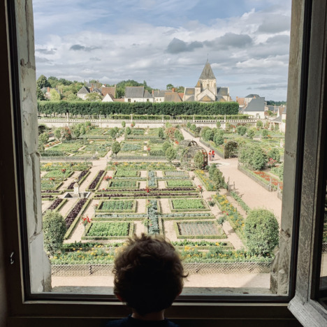 A day at the Château de Cheverny